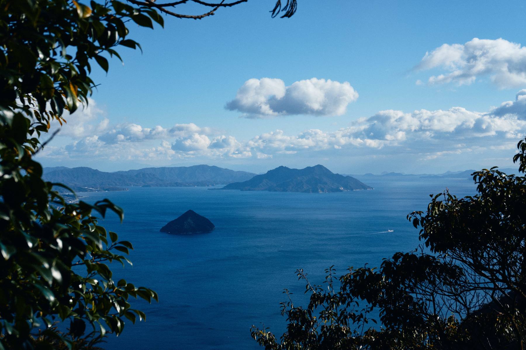 Islands and open water in the South Pacific, seen from a forested headland