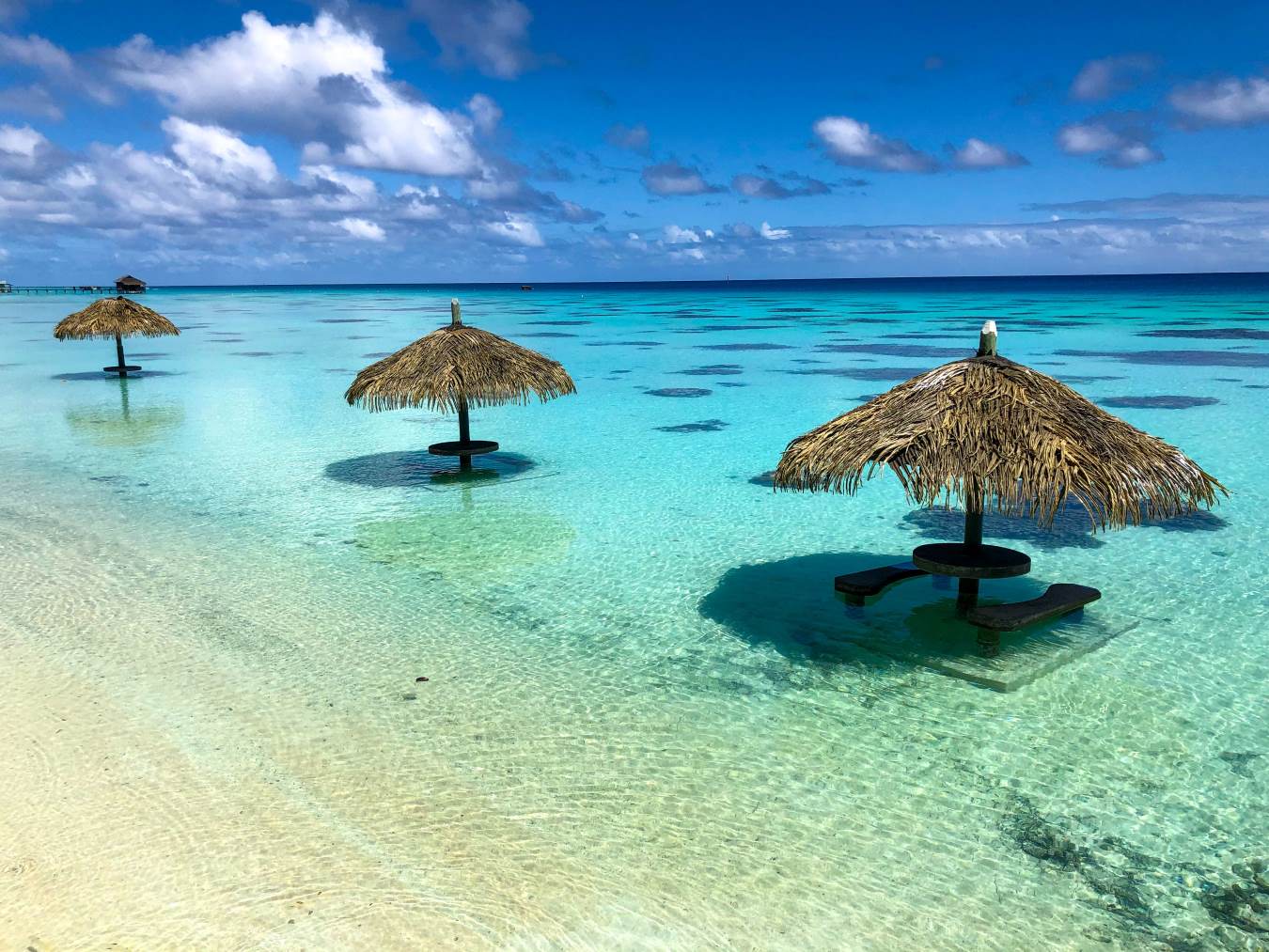 Palm-thatch parasols standing in a shallow, clear lagoon